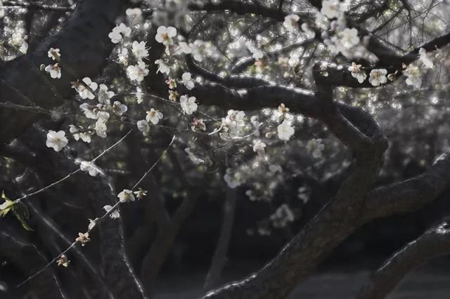 微信图片_20180314150218.jpg 微信图片_20180314150218.jpg