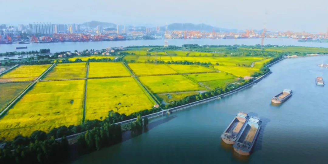 微信图片_20210922102418.jpg 微信图片_20210922102418.jpg